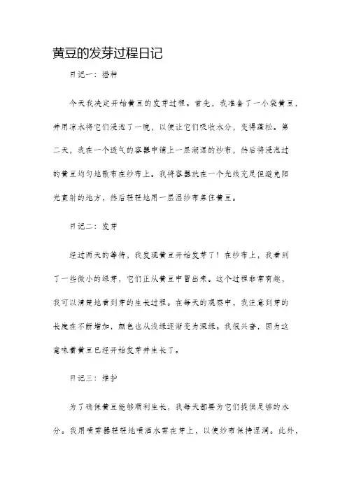 黄豆的发芽过程日记
