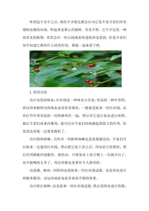 红丝线的功效与作用