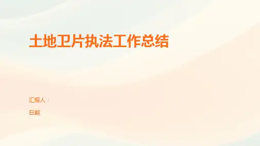土地卫片执法工作总结