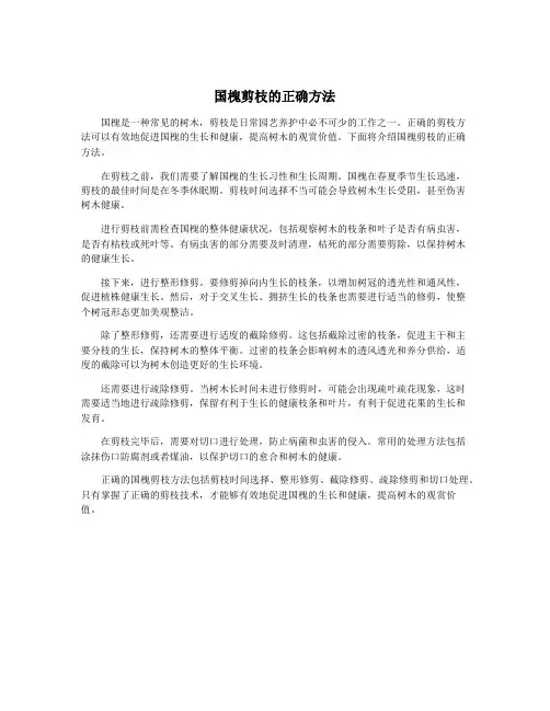 国槐剪枝的正确方法