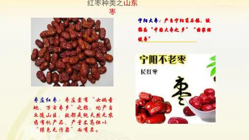 中国红枣一篇全共17页
