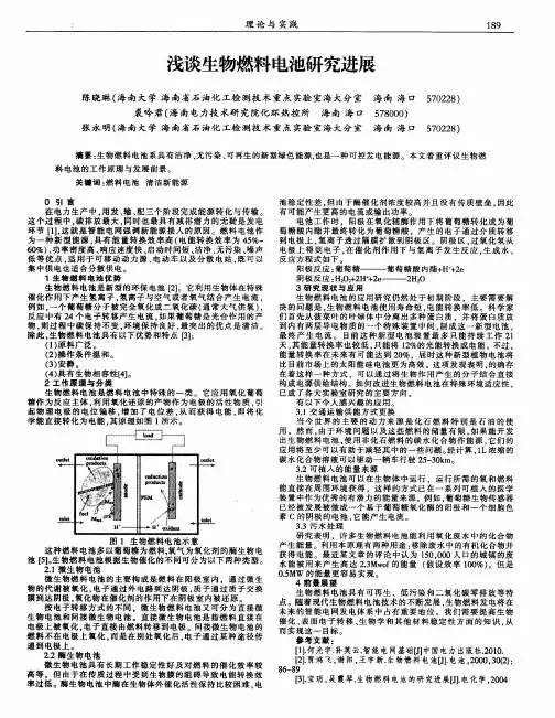 浅谈生物燃料电池研究进展