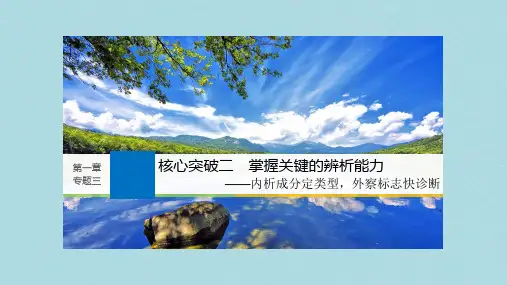 2019届高考一轮复习备考资料之语文(浙江专用)课件：第一章 语言文字的运用专题 专题三 核心突破二