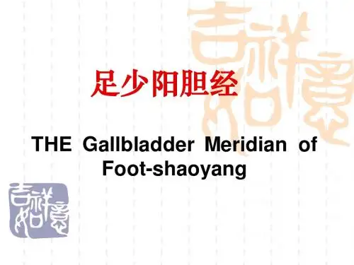 足少阳胆经