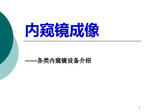 内窥镜图像PPT课件