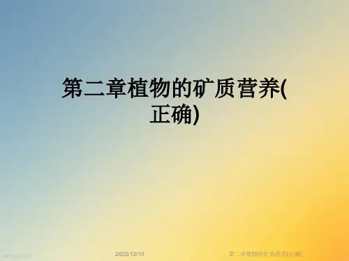 第二章植物的矿质营养(正确)
