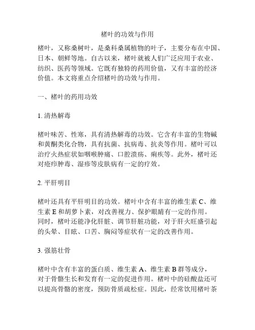楮叶的功效与作用