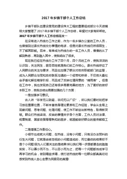 2017年乡镇干部个人工作总结