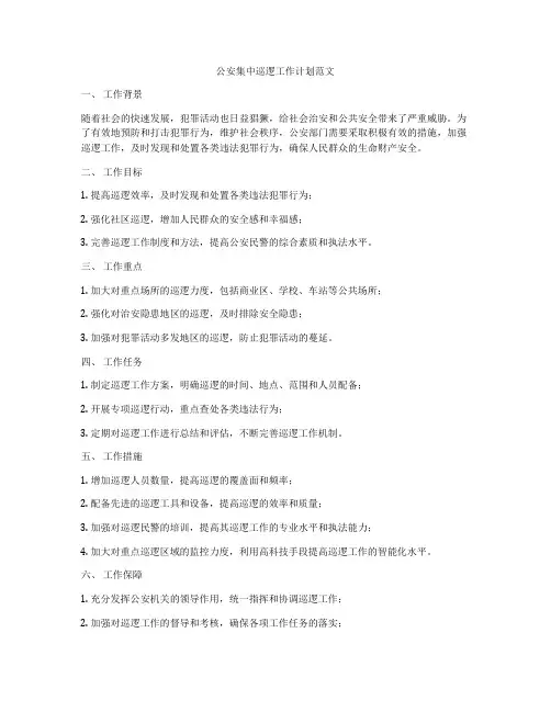 公安集中巡逻工作计划范文