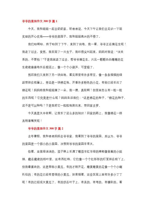 一年级作文爷爷的菜地300字