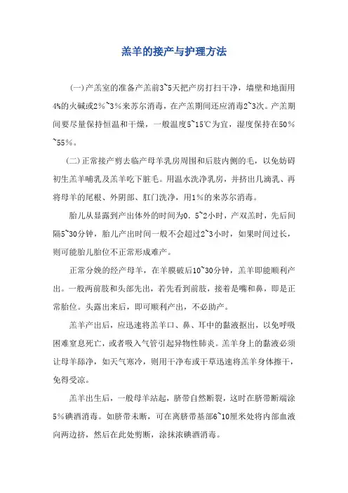 羔羊的接产与护理方法