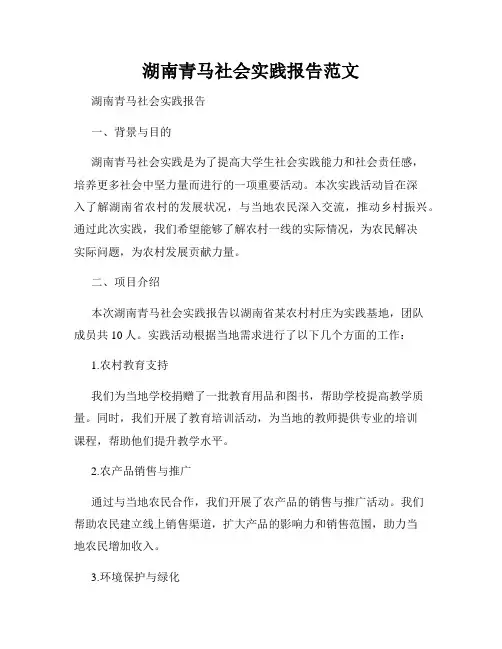 湖南青马社会实践报告范文