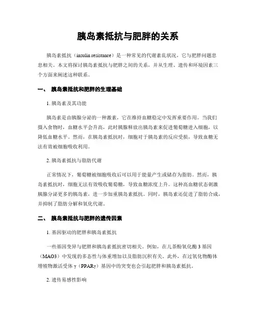 胰岛素抵抗与肥胖的关系