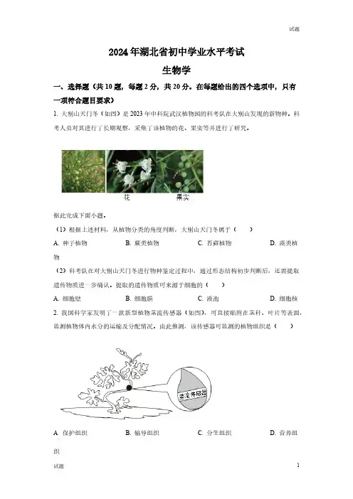 2024年湖北省中考生物真题卷及答案解析