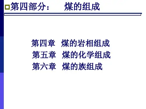 煤的岩相组成