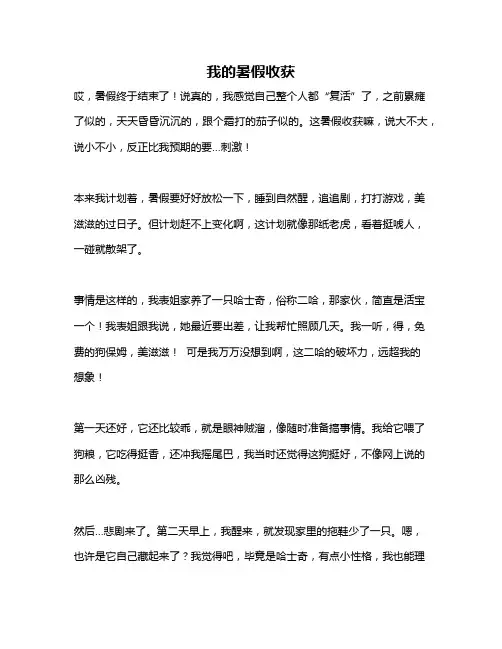 作文《我的暑假收获》