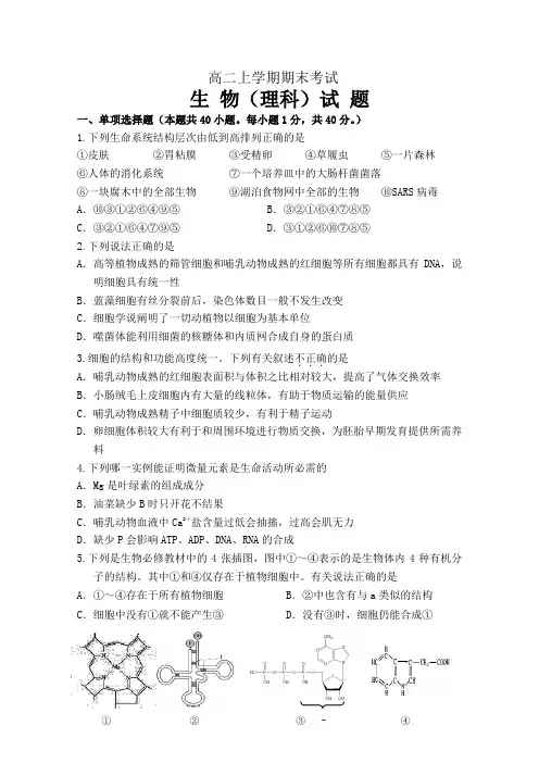 高二生物上学期期末试题及答案 (1)