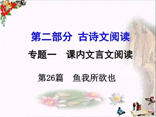中考语文复习第二部分：古诗文阅读PPT优秀课件下载(31份)17(17张)