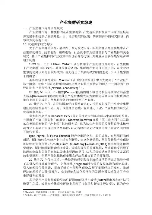 产业集群文献综述