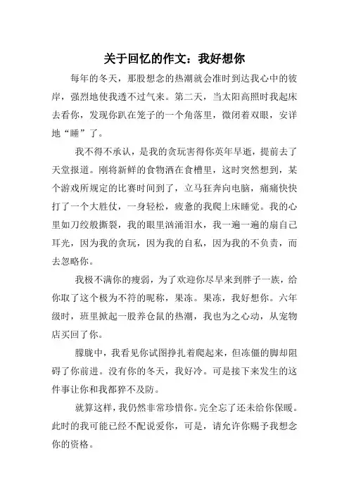 关于回忆的作文：我好想你