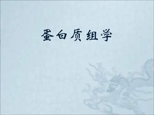 蛋白组学翻译后修饰