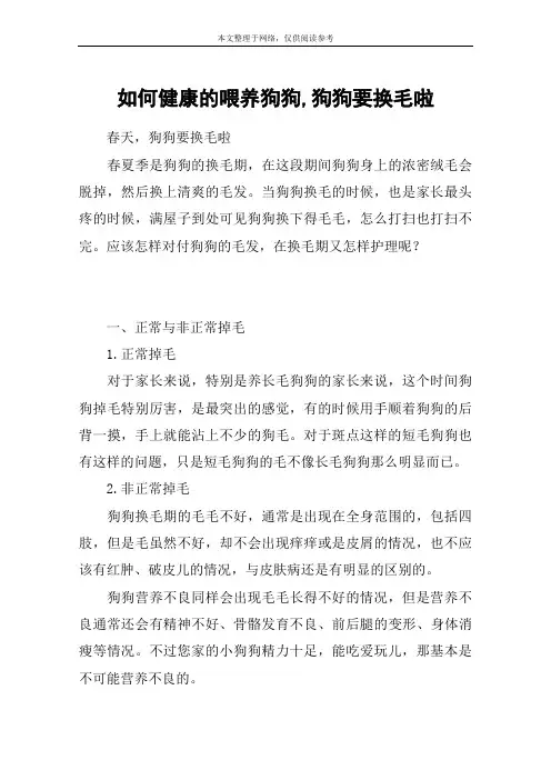 如何健康的喂养狗狗,狗狗要换毛啦