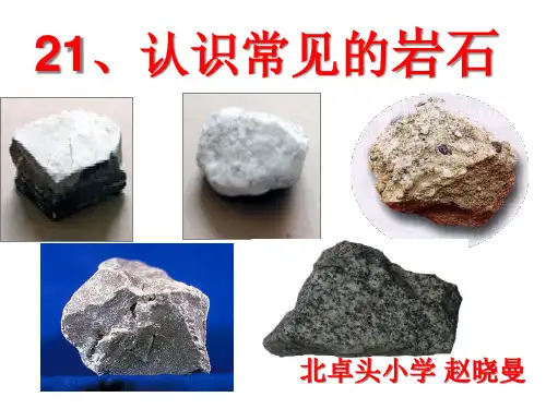 五年级上科学优秀课件-5.21 人是常见的岩石丨冀教版 (22页PPT)