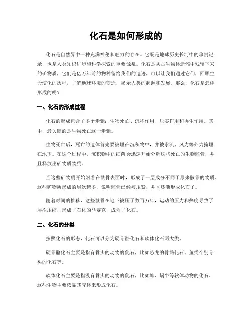 化石是如何形成的
