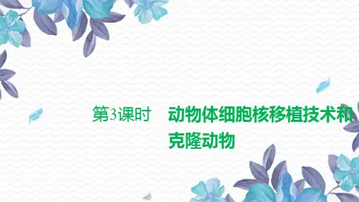 (新教材)高中生物选修3精品课件：2-2-3-动物体细胞核移植技术和克隆动物人教版