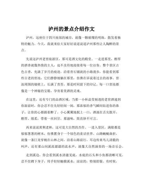 泸州的景点介绍作文