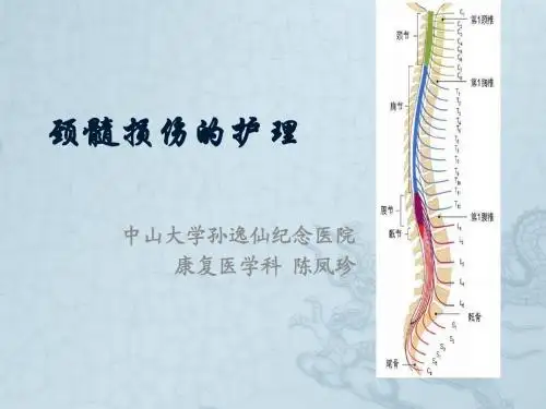 颈髓损伤的查房护理