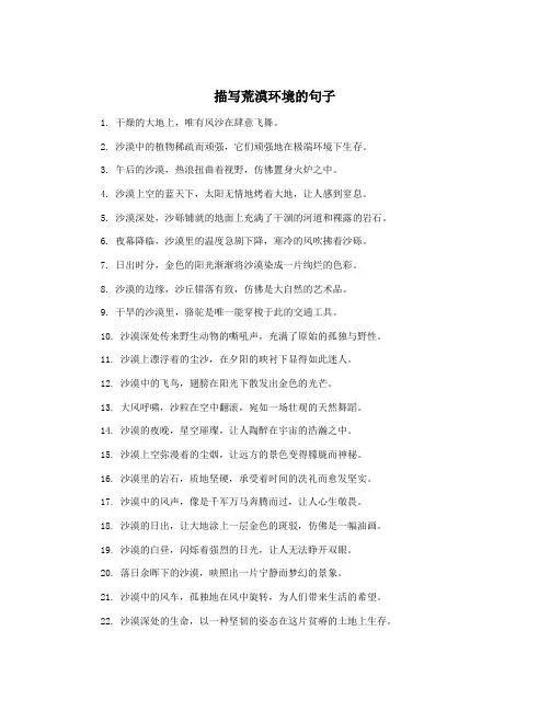 描写荒漠环境的句子