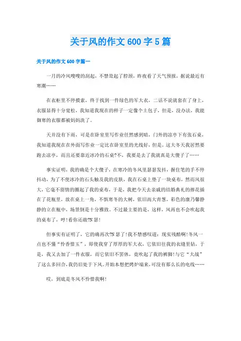 关于风的作文600字5篇