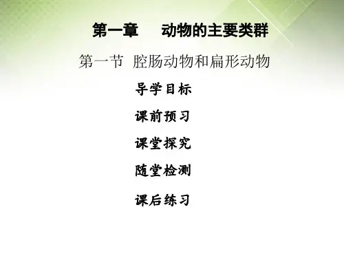 人教版八年级生物上册课件第一章  第一节 腔肠动物和扁形动物 (共33张PPT)