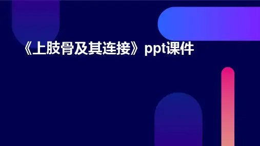 《上肢骨及其连接》课件