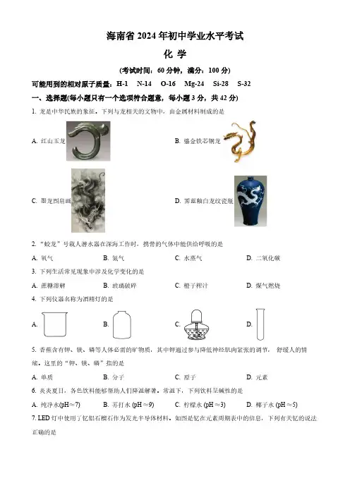海南省2024年中考化学试题含解析
