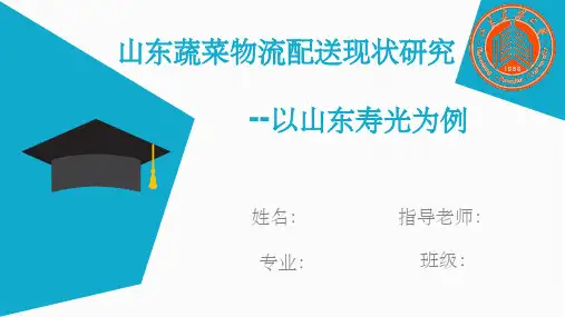 电子商务毕业论文答辩1ppt课件