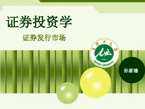 2019证券发行市场.ppt
