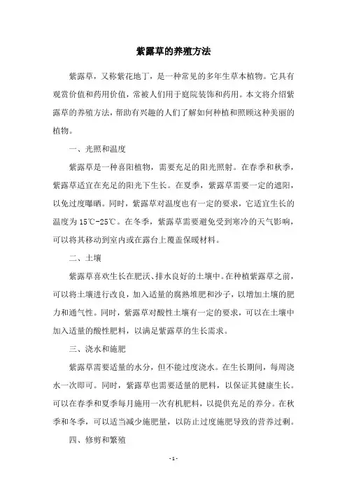 紫露草的养殖方法