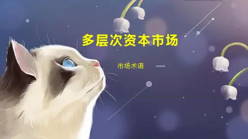 多层次资本市场