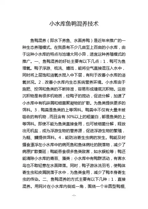 小水库鱼鸭混养技术