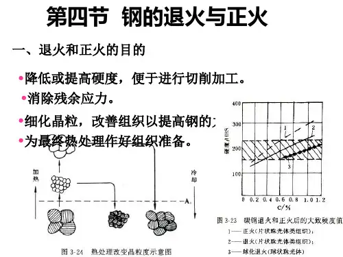 钢的退火与正火.