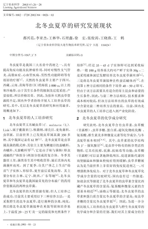 北冬虫夏草的研究发展现状