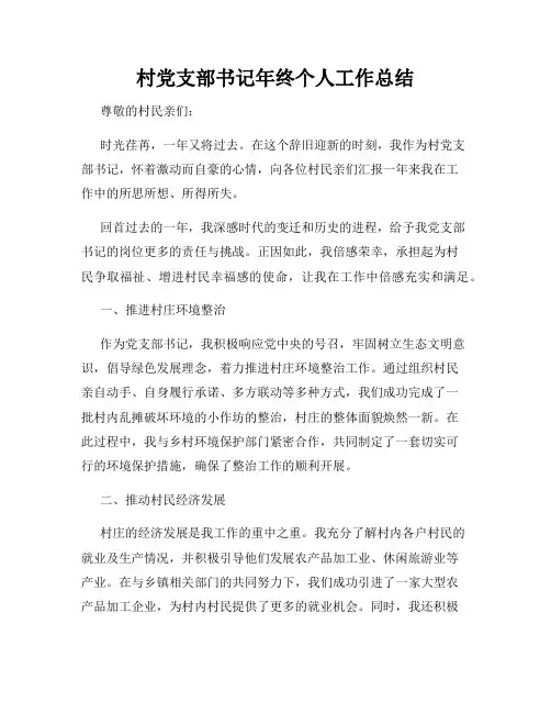村党支部书记年终个人工作总结