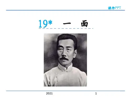 19-一面PPT课件