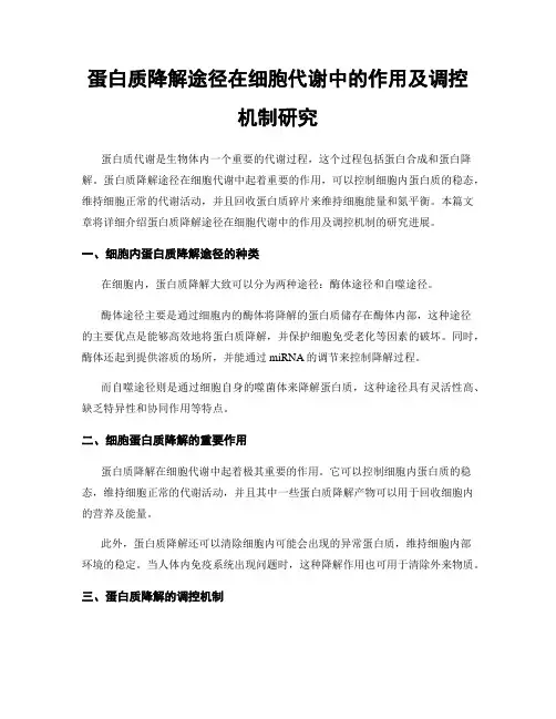 蛋白质降解途径在细胞代谢中的作用及调控机制研究