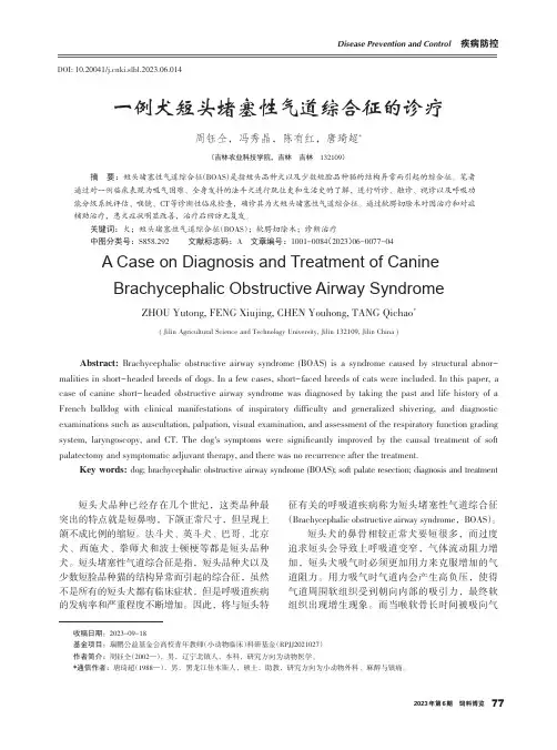 一例犬短头堵塞性气道综合征的诊疗