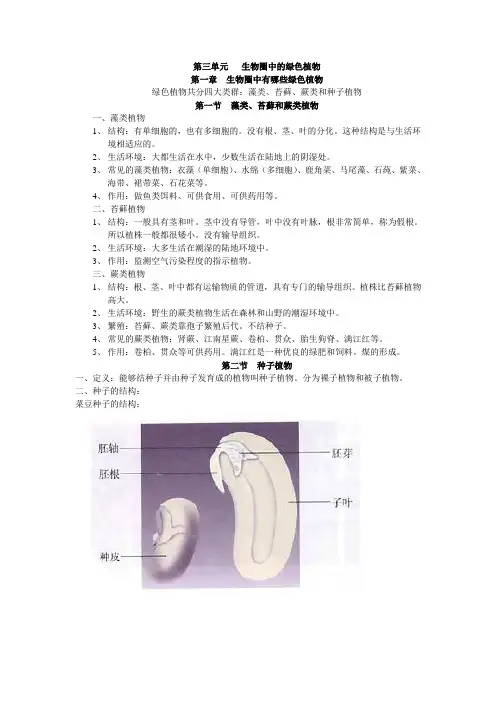 人教版七年级生物上册复习提纲：第三单元