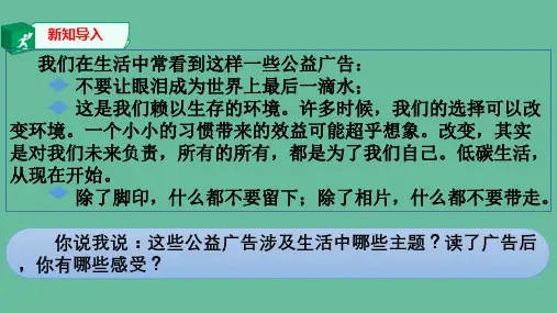 第1课时  正视发展挑战(课件+习题)