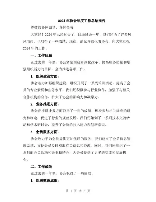 2024年协会年度工作总结报告